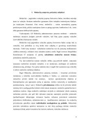 Lietuvos mokesčių sistemos apibūdinimas 3 puslapis