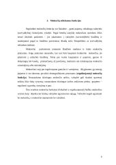 Lietuvos mokesčių sistemos apibūdinimas 5 puslapis