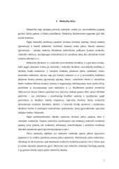 Lietuvos mokesčių sistemos apibūdinimas 6 puslapis