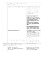 Barokinės Lietuvos raidos ypatybės 2 puslapis