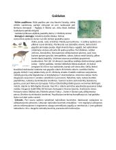 Rūšies nykimas Lietuvoje. Gamtamokslis pranešimas 5 puslapis