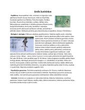 Rūšies nykimas Lietuvoje. Gamtamokslis pranešimas 6 puslapis