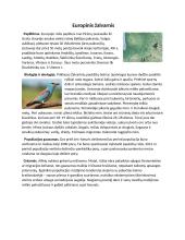 Rūšies nykimas Lietuvoje. Gamtamokslis pranešimas 7 puslapis