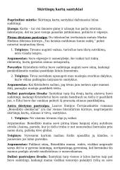 Skirtingų kartų santykiai (kalba ir planas) 3 puslapis