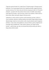 Kas žmogui suteikia ramybę? (Rašinys) 2 puslapis