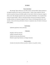 Verslo psichologija - asmenybių tipai 2 puslapis