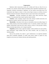 Verslo psichologija - asmenybių tipai 6 puslapis