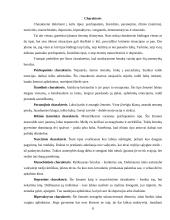 Verslo psichologija - asmenybių tipai 7 puslapis