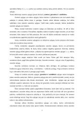 Pagrindiniai statybos sutarčių sudarymo principai. Esminės klaidos sudarant sutartis 4 puslapis