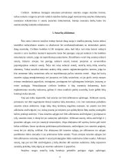 Pagrindiniai statybos sutarčių sudarymo principai. Esminės klaidos sudarant sutartis 8 puslapis