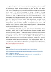 J.Grušas ,,Meilė, džiazas ir velnias”. Vaikinų paveikslai 2 puslapis