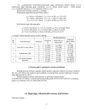 Pamatų ir pagrindų projektavimas 6 puslapis