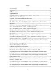 Pastato aprūpinimas šiluma 2 puslapis