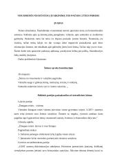 Visuomenės nuostatos į įvaikinimą tos pačios lyties porose