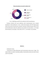 Visuomenės nuostatos į įvaikinimą tos pačios lyties porose 12 puslapis