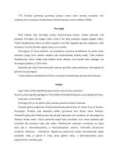 Visuomenės nuostatos į įvaikinimą tos pačios lyties porose 4 puslapis