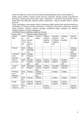 Pastato rekonstrukcijos techninis ekonominis pagrindimas 6 puslapis