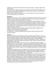 Teorinė ir praktinė filosofija 2 puslapis