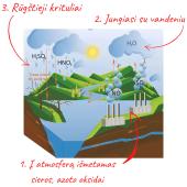 Rūgštieji krituliai (pristatymas) 2 puslapis