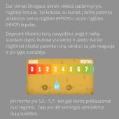 Rūgštieji krituliai (pristatymas) 3 puslapis