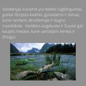 Rūgštieji krituliai (pristatymas) 6 puslapis