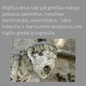 Rūgštieji krituliai (pristatymas) 7 puslapis