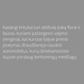 Rūgštieji krituliai (pristatymas) 8 puslapis