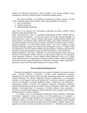 Demokratija, jos raida ir sąvoka 3 puslapis