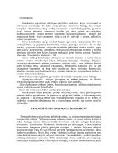 Demokratija, jos raida ir sąvoka 7 puslapis