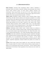 Pastatų inžinerinės sistemos gyvenamajame name 2 puslapis