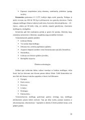 Pastatų sienų apšiltinimas ir renovacija 11 puslapis