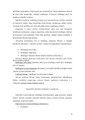 Pastatų sienų apšiltinimas ir renovacija 6 puslapis