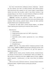 Pastatų sienų apšiltinimas ir renovacija 8 puslapis