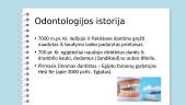 Odontologija 4 puslapis