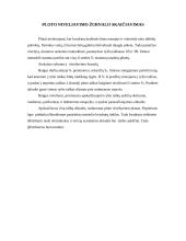 Ploto niveliavimas ir pasvirusios aikštelės projektavimas 2 puslapis