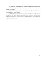 „Lidl“ socialiai atsakinga veikla 11 puslapis