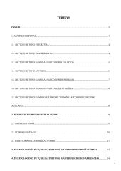 Putų silikatbetonio formavimo mišinio sudėties apskaičiavimas 2 puslapis