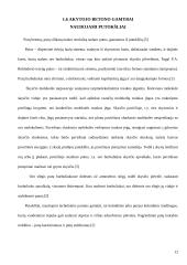 Putų silikatbetonio formavimo mišinio sudėties apskaičiavimas 12 puslapis