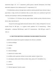 Putų silikatbetonio formavimo mišinio sudėties apskaičiavimas 7 puslapis