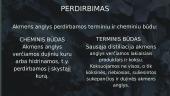 Akmens anglis (skaidrės) 9 puslapis