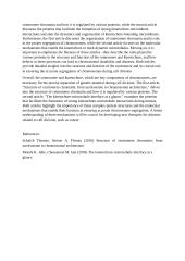 Academic writing on centromere 2 puslapis