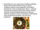 Armėnijos virtuvė 4 puslapis