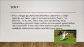 Stebuklingosios Nilso kelionės  2 puslapis