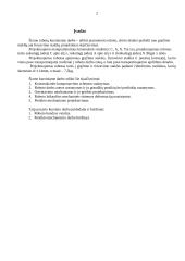 Roboto projektavimas 2 puslapis