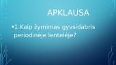 Skaidrės apie gyvsidabrį 13 puslapis