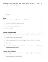 Ko mus moko antikos literatūra? (9 klasės rašinys) 2 puslapis