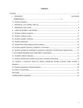 Statybos projektų valdymas 2 puslapis