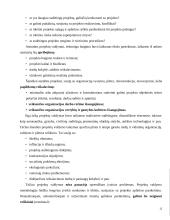 Statybos projektų valdymas 12 puslapis