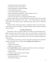 Statybos projektų valdymas 13 puslapis