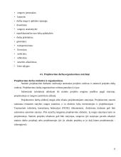 Statybos projektų valdymas 19 puslapis